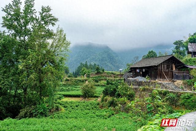 岁暖时刻｜白云深处有人家：藏在湘西山巅的原始苗寨