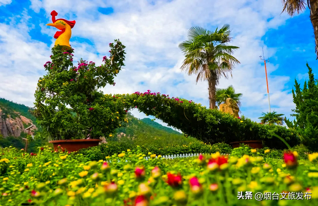 【乐游烟台】这个国庆中秋假期赏菊就来招虎山！