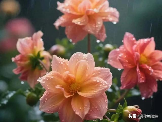 表达心情很沉重的简短句子（活着已经够累了）