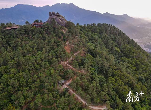 上新！“云上南清”步道直通山顶，研学民宿齐上线