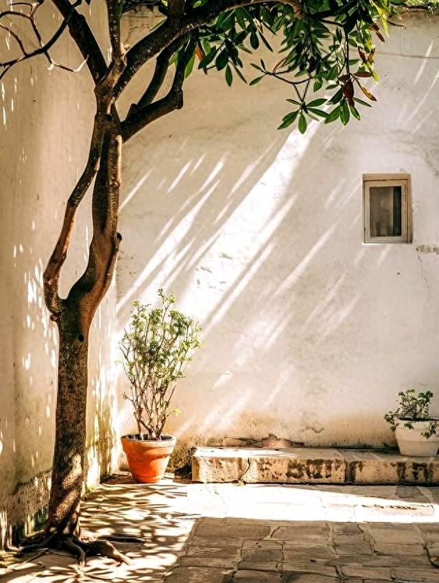 别墅院子逃脱攻略（解决小院的6大烦恼）