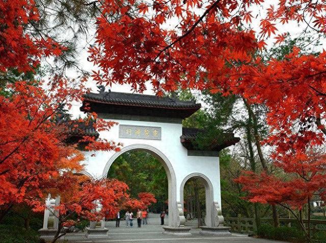 灵隐飞来峰免票了！景区每日最高限额6.5万人次，这几类人群可直接入园