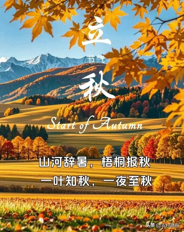 今日立秋，“热不热，看立秋”！今年秋天到底热不热，早看早知道