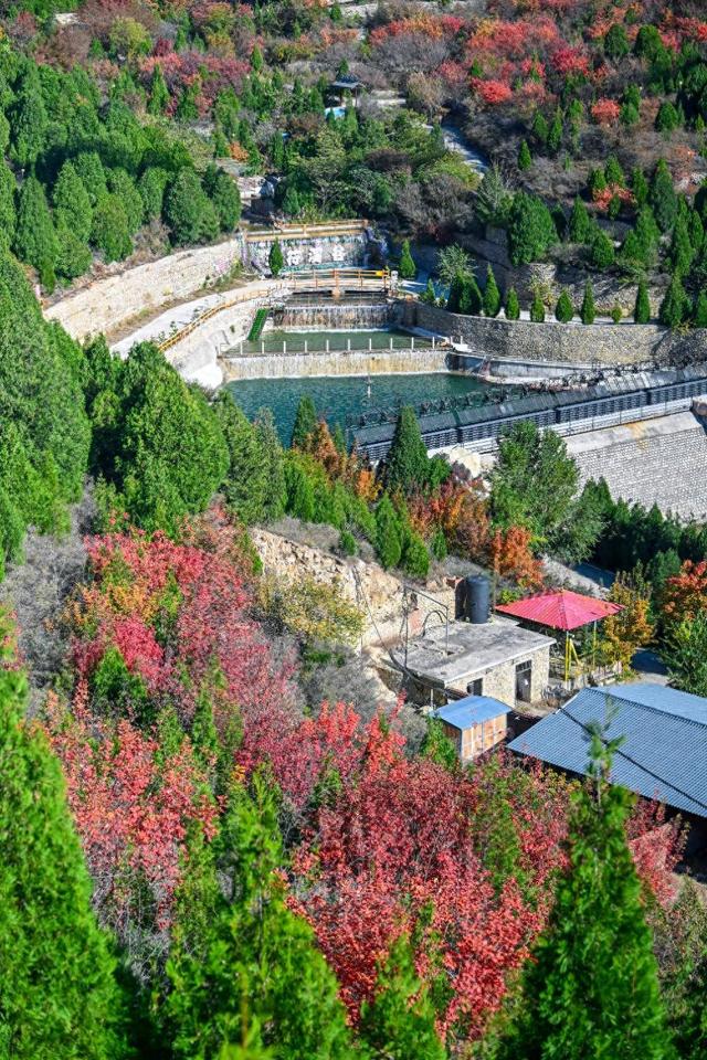 壹点号·秀山东|济南这座古寨藏了最浓的齐鲁秋色