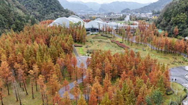 “口袋公园”冬景美