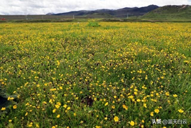 不管你信与不信，女性过了55岁后，基本都有以下方面的需求