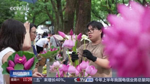 苏州荷花市集，火上了央视！