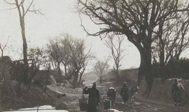 lol3分钟投降口令是什么（卖油郎问村里住多少八路孩子答七八个吧当夜日军来偷袭）