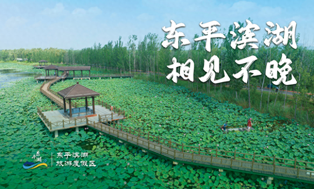 稻屯洼湿地：秋天在这里放慢了脚步