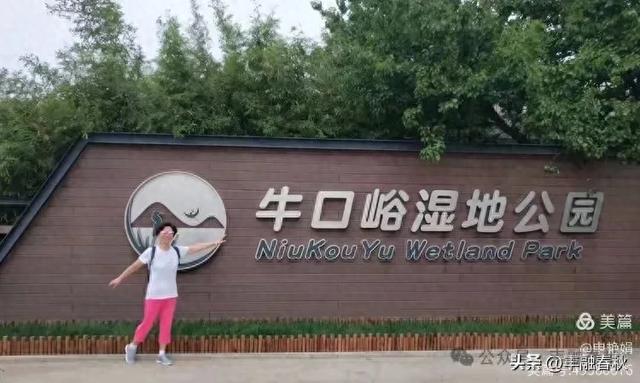 邂逅北京房山牛口峪湿地公园：工业废水的生态蝶变｜ 申艳娟