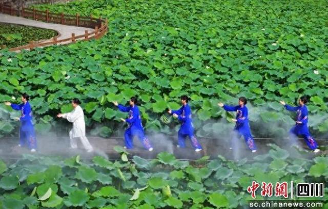 自贡贡井：全力打造省级中医药健康旅游示范基地