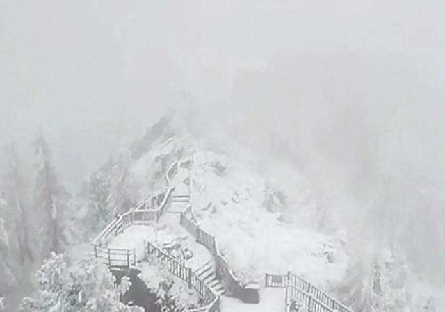 全国多地突然下雪！雪天出行安全指南→