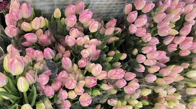 在郑州，做这8件事可以提升幸福感→