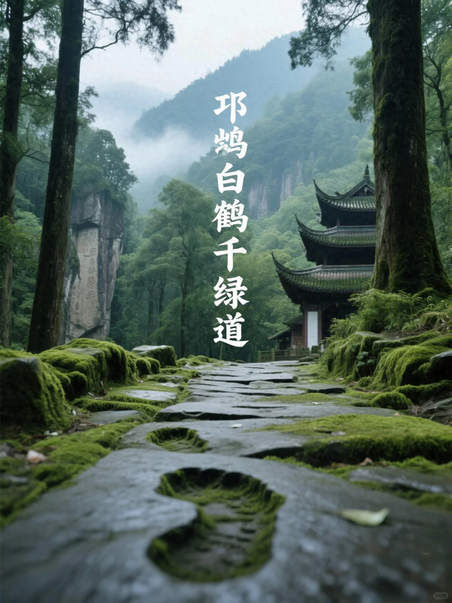 邛崃白鹤山千年绿道，成都0.5h直达，玩转古寺禅意+森系秘境！