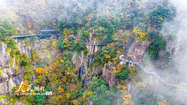 安徽池州：漫步高空栈道 欣赏绚丽秋色