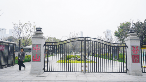 闹市添花海！武汉中山公园“樱花广场”迎首秀