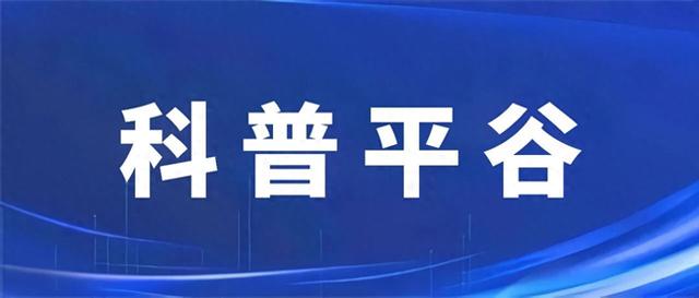 科普平谷｜一个比散步还简单的动作，改善体态、缓解肩颈痛！