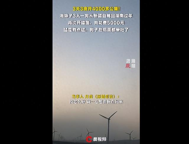 湘妹子3人1狗从新疆自驾回湖南过年，3天4000公里还开错路，狗坐后面都晕吐了