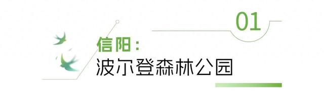 河南“天然空调房”里，来场“森呼吸”！