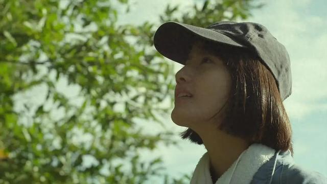 180元/斤的知了猴，快被山东人薅没了