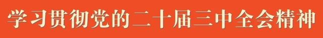 来宾红色景点 “C位出道”，这几处成打卡 “顶流”→