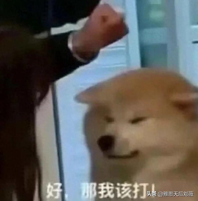 horny什么意思（留子英语把老外整破防了评论区一句话直接让老外CPU烧了）