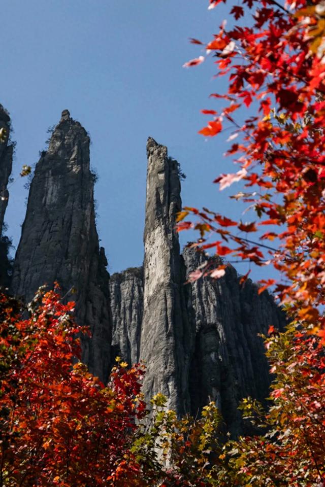 恩施秋景图鉴！