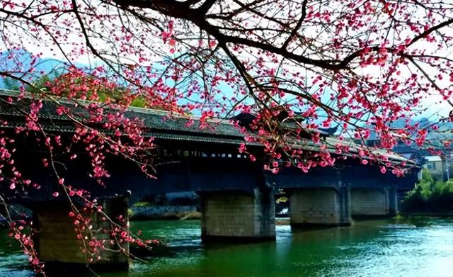 龙泉龙庆桥：状元题词，红色记忆，浙闽纽带，幸福通道