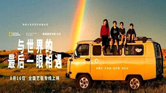 blink解释（来自电影BLINK的治愈当失去不可避免）