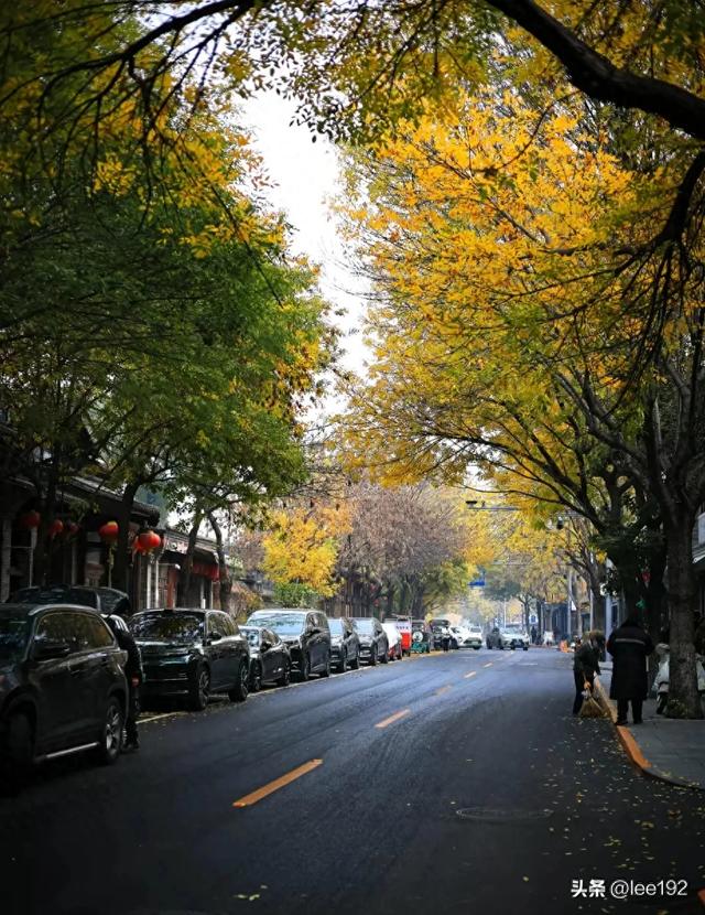 旅游业在ZG是个“Y壶”