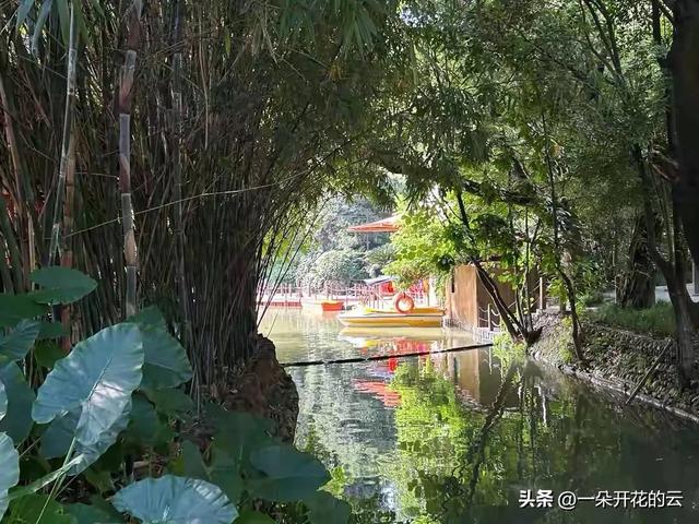 在鹤鸣茶社,我学到了“偷时间”的艺术:专治停不下来的现代病