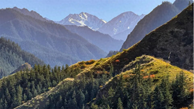 甘肃张掖：秋日祁连山风景如画 雪山金草绘就壮美诗篇
