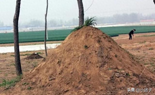 2026年3月30日起！殡葬新规落地	，土葬老坟这样办