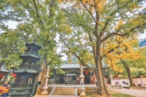 文明旅游勾勒出城市文明底色