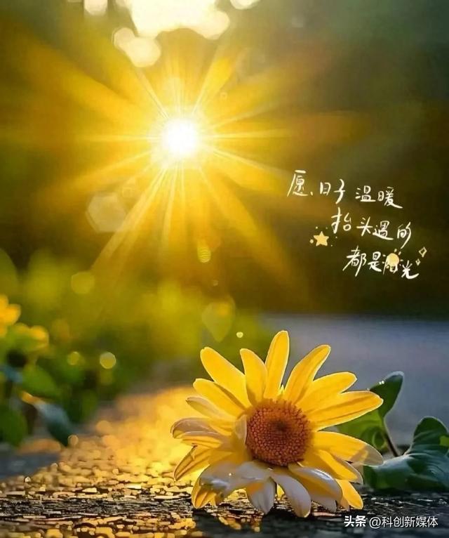 2025年8月25日，星期一，农历七月初三 关注每日简讯（早安）