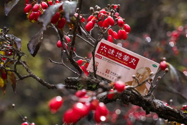 最是茱萸红满山！用一抹“红”开启2025仲景采摘季