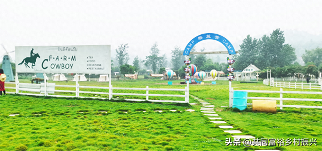 农场如何打造“美学场景”提升游客情感消费？总结6种低成本玩法