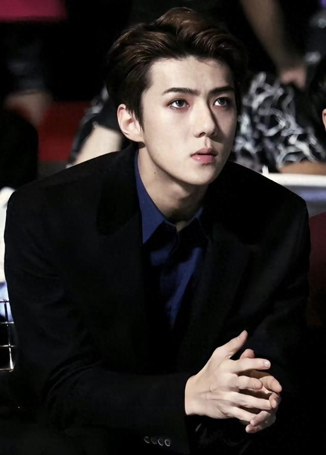 快穿攻略吴世勋（快穿之撩男神100式2）