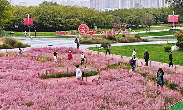 宝鸡渭河生态公园：国旗飘扬 鲜花盛放