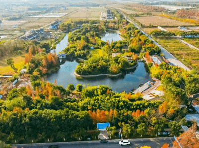 奉贤的秋天，才是上海隐藏的“顶流”！