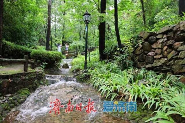 免票倒计时！来红叶谷寻一份秋日之悠然