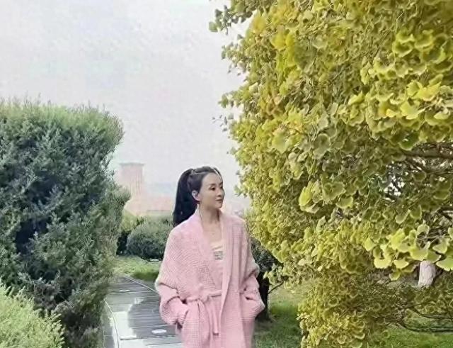 王艳太有钱了,穿睡衣在自家花园散步,背后就是紫禁城!