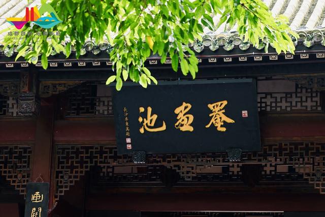 2025成都金秋银杏季文旅促消费活动在罨画池启动 全域秋景联动点燃文旅消费热潮