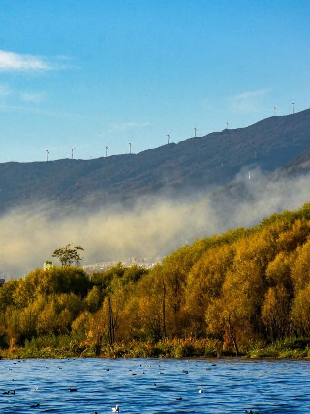 看，此刻的大理！