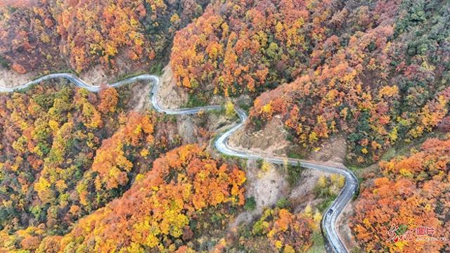 五里坡国家级自然保护区层林尽染