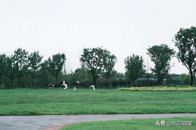 年轻人爱上了“情绪旅游”？