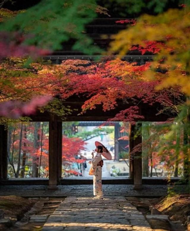 京都红叶狩完全攻略：从绝景到舌尖的秋日盛宴