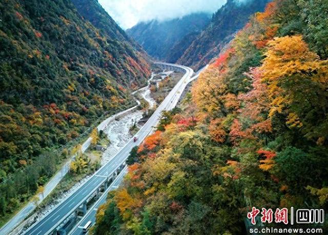 赴平武看彩林！“快旅慢游”解锁秋冬自驾新玩法