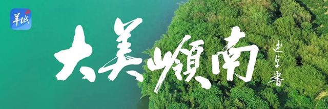 潮州潮安区东兴村:又见茶山 | 大美岭南·百村焕新记