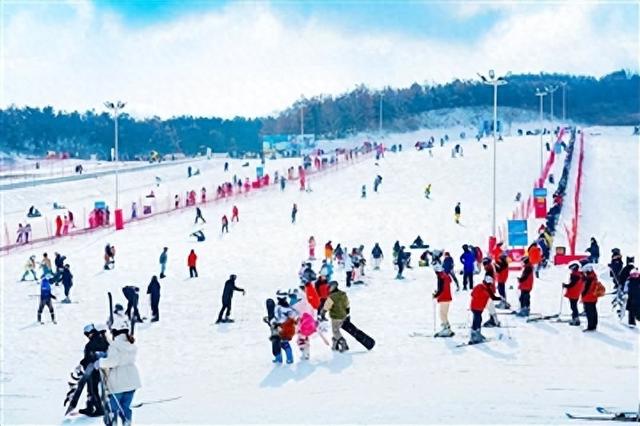 走，冬天一起去西海岸撒个欢 看演唱会、逛动漫展、摘果蔬、滑雪……937场文旅活动热闹登场